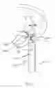 Fig. 58 - Apparatus and methods for the treatment of the intervertebral disc