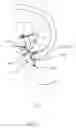 Fig. 60 - Apparatus and methods for the treatment of the intervertebral disc