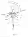 Fig. 65 - Apparatus and methods for the treatment of the intervertebral disc