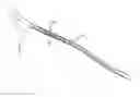 Fig. 01 - Guided stent delivery systems of minimal diameter
