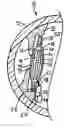 Fig. 01 - Intraocular lens adapted for accommodation via electrical signals