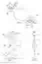 Fig. 02 - INTRAOCULAR LENS