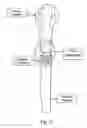 Fig. 12 - Paramagnetic liquid interface