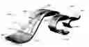 Fig. 01 - Prosthetic foot devices