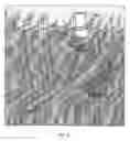 Fig. 02 - Prosthetic foot devices