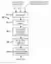 Fig. 01 - Discriminate input system for decision algorithm