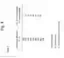 Fig. 09 - Selection of genotyped transfusion donors by cross-matching to genotyped recipients