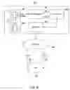 Fig. 09 - Using biological models