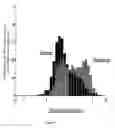 Fig. 06 - Karyometry-based method for prediction of cancer event recurrence