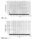 Fig. 20 - Direct fault diagnostics using per-pattern compactor signatures