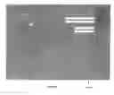 Fig. 09 - Integrated pharmacy error tracking and reporting system and method