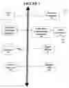 Fig. 02 - Method and apparatus for curriculum exclusive booking in a curriculum management system