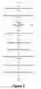 Fig. 07 - Direct tracking of keywords to ads/text