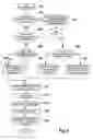 Fig. 07 - Systems and methods for performing authorization