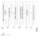 Fig. 26 - Adding attributes and labels to structured data