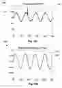 Fig. 19 - SYSTEMS AND METHODS FOR TREND EXTRACTION AND ANALYSIS OF DYNAMIC DATA