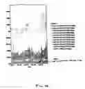 Fig. 10 - Generating metrics for networked devices
