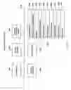 Fig. 12 - Safe distribution and use of content