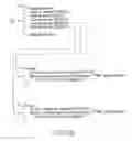 Fig. 96 - INFORMATION STORAGE MEDIUM, INFORMATION REPRODUCING APPARATUS, AND INFORMATION REPRODUCING METHOD