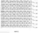 Fig. 06 - 64b/66b coding apparatus and method