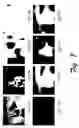 Fig. 08 - Capture-intention detection for video content analysis