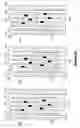 Fig. 12 - Crossbar-array designs and wire addressing methods that tolerate misalignment of electrical components at wire overlap points
