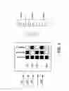Fig. 06 - Mobile TV channel and service access filtering