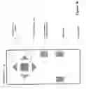 Fig. 17 - System and method for enhanced video selection using an on-screen remote