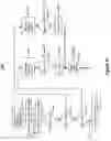 Fig. 12 - Method of fault tolerance and synchronous failover for broadcast video across the network