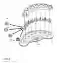 Fig. 04 - Interactive developmental educational and entertainment system