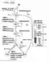 Fig. 20 - Apparatus and Method for Improving Security of a Bus Based System Through Communication Architecture Enhancements
