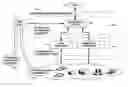 Fig. 01 - Risk driven compliance management