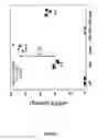 Fig. 08 - Transgenic mouse having an amyloid precursor protein with a modified beta secretase cleavage site