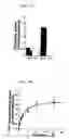 Fig. 08 - High-affinity choline transporter
