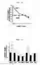 Fig. 09 - High-affinity choline transporter
