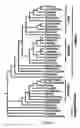 Fig. 02 - Polynucleotides and polypeptides in plants