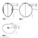 Fig. 02 - Enlargement and new use of soybean endosperm tissue