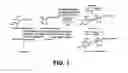 Fig. 02 - Conditional sterility in plants