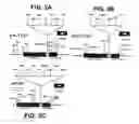 Fig. 04 - Conditional sterility in plants