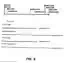 Fig. 13 - Conditional sterility in plants