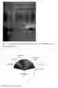 Fig. 09 - Method for Improving Phytoremediation Treatment of a Contaminated Medium