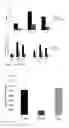 Fig. 10 - Method for Improving Phytoremediation Treatment of a Contaminated Medium