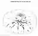 Fig. 15 - Gerbera with multi-petalled and globular-shaped inflorescences