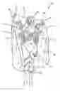 Fig. 01 - Free hanging garment with image on interior surface