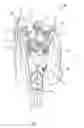 Fig. 02 - Free hanging garment with image on interior surface