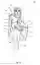 Fig. 05 - Free hanging garment with image on interior surface