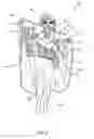 Fig. 06 - Free hanging garment with image on interior surface