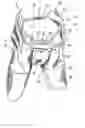 Fig. 01 - Hockey pant with removable outer shell
