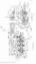 Fig. 02 - Therapeutic body brush