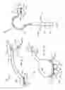 Fig. 03 - Therapeutic body brush